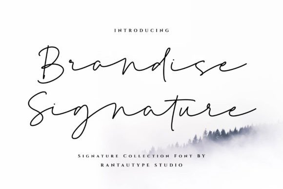 Brandise Signature: A Script Font for High-Impact Campaigns