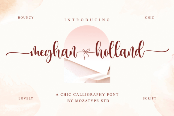 Meghan Holland: An Elegant Script Font for Web Design
