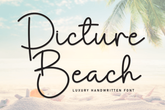 Picture Beach Font Review for Campaign Designers